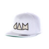 JAM-grey-snapback-1
